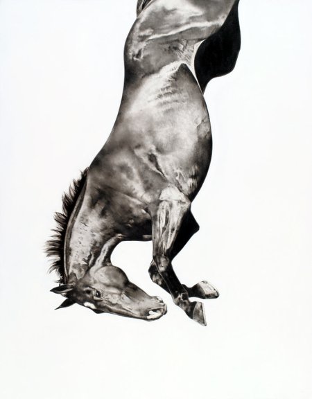 Michael-Zavros_Spring-Fall-11